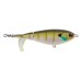 Berkley Choppo 90 Berkley Choppo 90