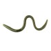 Xcite Baits Maximus Worm Xcite Baits Maximus Worm