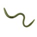 Xcite Baits Maximus Worm Xcite Baits Maximus Worm