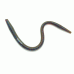 Xcite Baits Maximus Worm Xcite Baits Maximus Worm